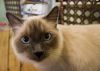 Filename=Boddington_Sm.jpg
Filesize=119KB
Dimensions=1008x720
Date added=Dec 18, 2007 Boddington_Sm.jpg